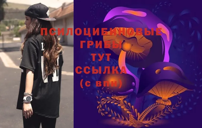 Галлюциногенные грибы Psilocybe  ОМГ ОМГ маркетплейс  Димитровград 